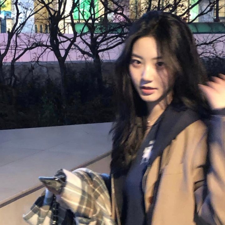别碰我的梦
